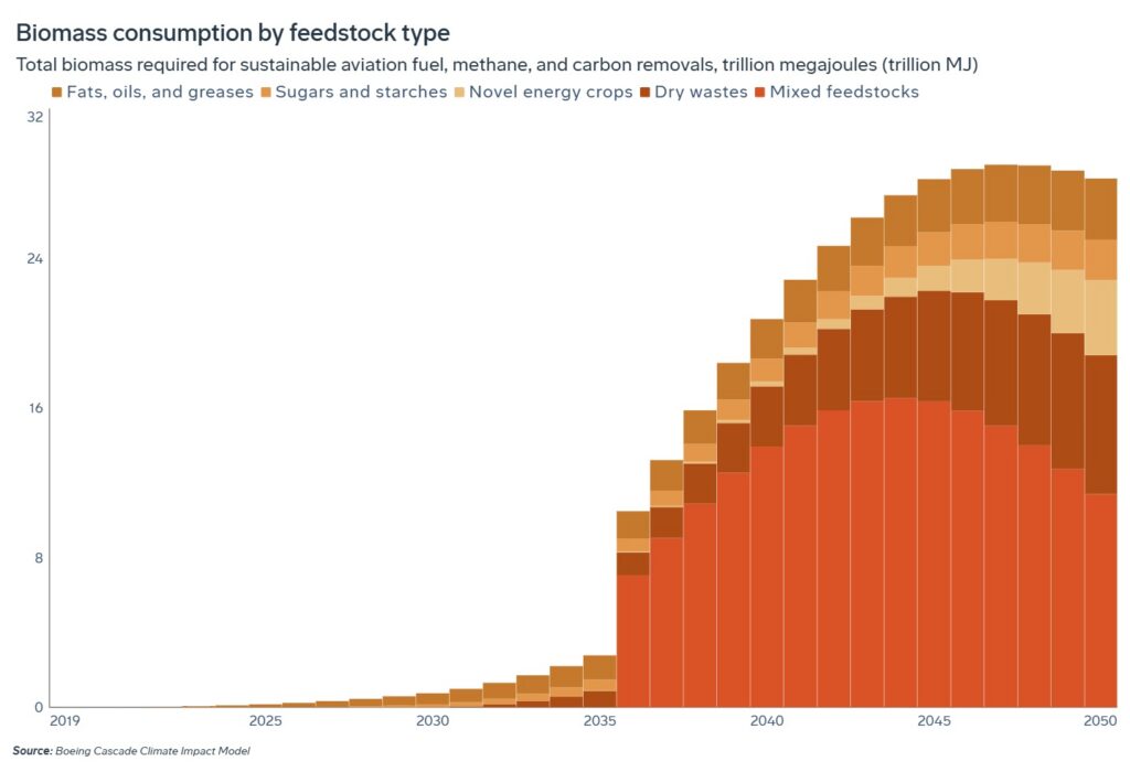 Biomass consumption by feedstock type for waypoint 2050
